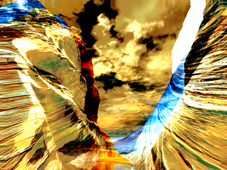 C2n16.jpg