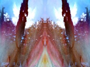 C1n06.jpg
